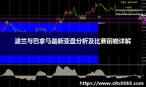 365WM完美体育官网