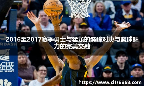 365WM完美体育官方app